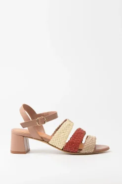 Murena, Mauve Mix