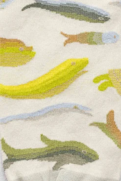 Poisson Naturel
