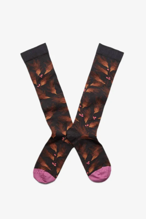 Venus, Palm Dark